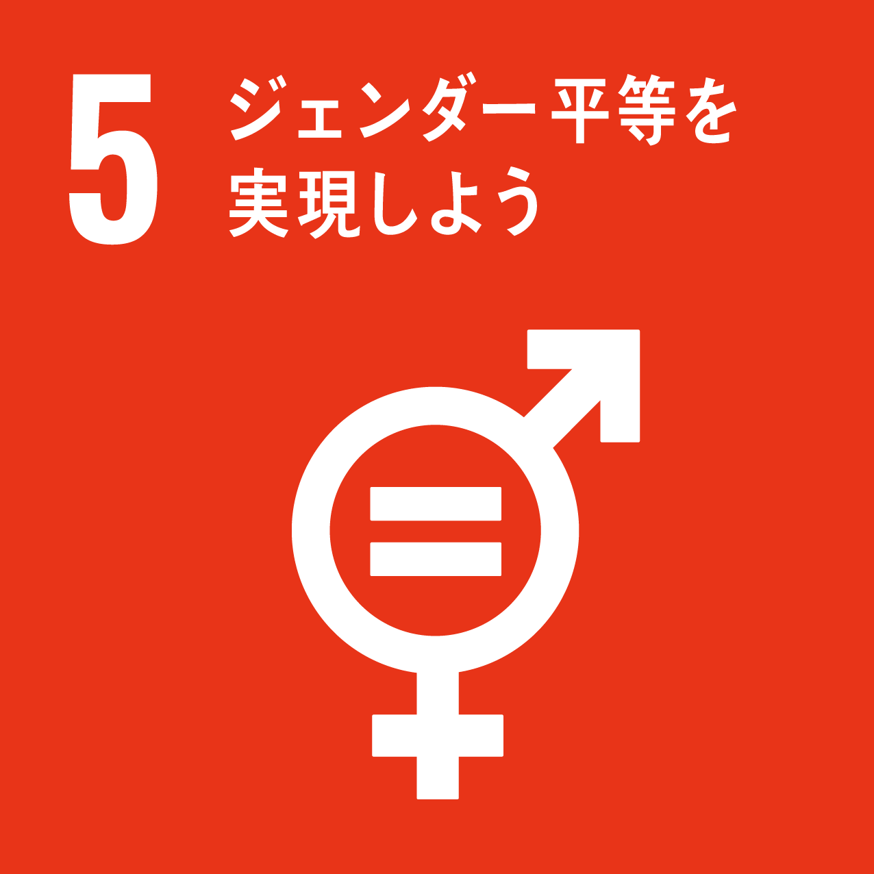 sdg_icon