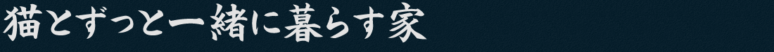 猫とずっと一緒に暮らす家